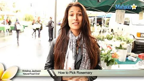 How to Pick Rosemary