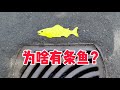 雨水井旁這條魚是什麼意思？ What does fish symbol/marking mean on storm drain?