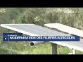Djibouti : 15 millions USD pour la modernisation du secteur agroalimentaire