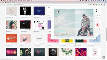 Dribbble Shot Zoom - Chrome Extension