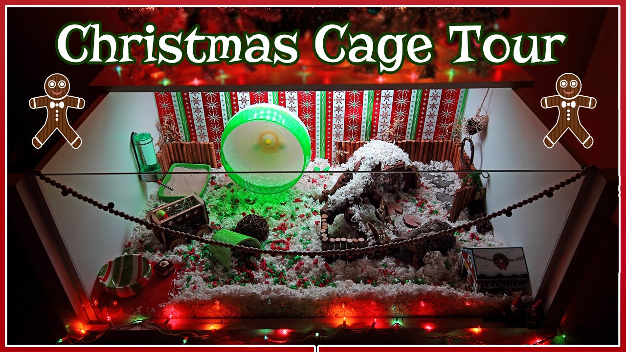 christmas hamster cage