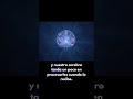 El presente no existe | Vivimos en el pasado #viralvideo #perception #sentidos #reels