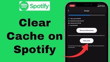 Spotify Cache Clear Tutorial: How to Clear Cache on Spotify?