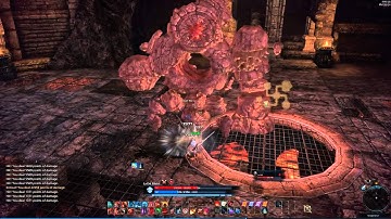 Tera - Lancer Epic Onslaught :D