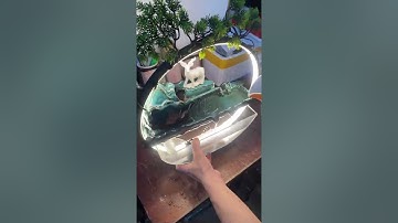 Video lắp đăt sản phẩm Thác trầm quan âm bồ tát dãy núi thái sơn