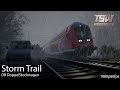 Storm Trail : Ruhr-Sieg Nord : Train Sim World 1080p60fps