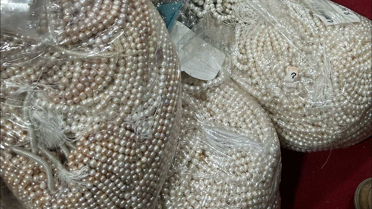 মুক্তার পাইকারী জগতে একদিন | Visit to Wholesale Pearl Market