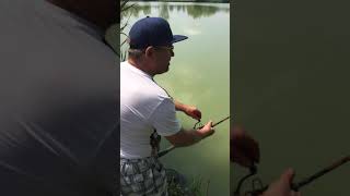 Így Dolgozik A Trabucco Precision Rpl Picker Plus Pickerbot - Vadvizihorgaszat.hu