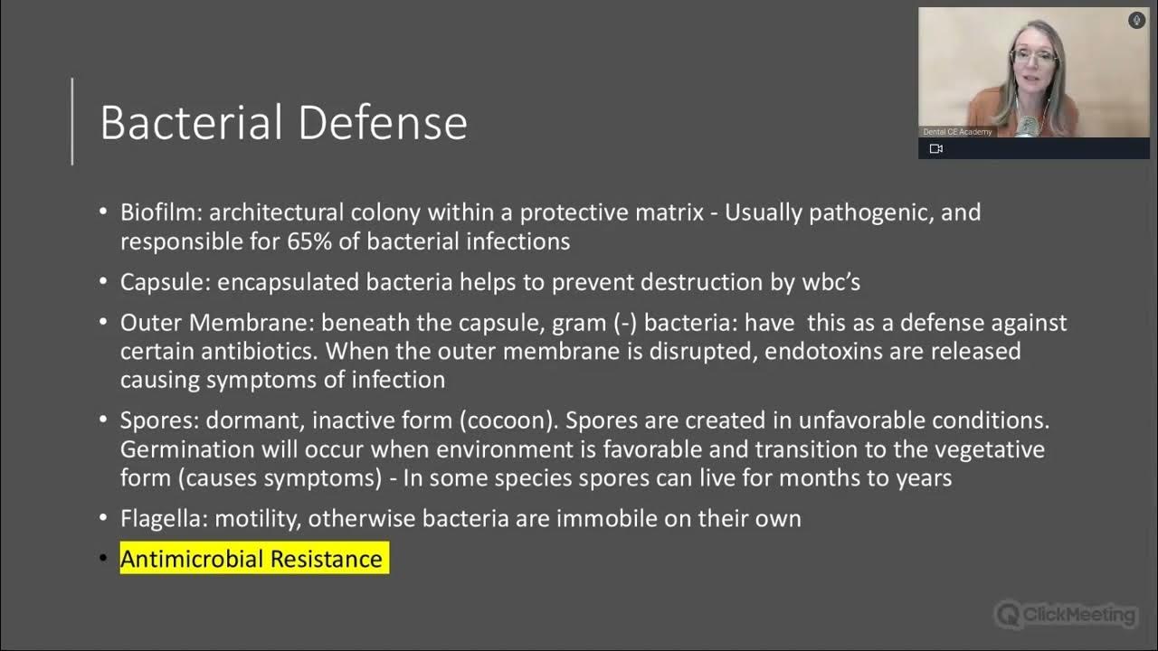Free Dental CE inars SUPERBUGS ANTIMICROBIAL RESISTANCE AND THE DENTAL PRACTICE YouTube