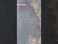 Wildfires rage in western JapanーNHK WORLD-JAPAN NEWS #shorts
