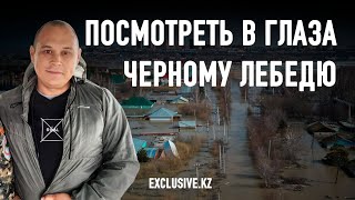 Паводки - не форс-мажор, а системный сбой