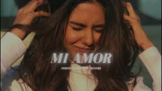 Sharn X Bohemia Mi Amor Slowed Reverb Visualizer     