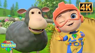 Baa baa oveja negra y más divertido Preescolar rimas para los más pequeños