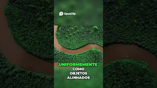 THE MYTH OF THE AMAZON #brazil #curiosities #reels #stories #mystery #amazon #amazonas #myths THE MYTH OF THE AMAZON #brazil #curiosities #reels #stories #mystery #amazon #amazonas #myths