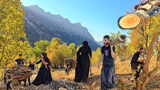 İran Göçebe Hayatı Sonbahar Soğuğunda Odun Toplamak Ve Geleneksel Yemekler Pişirmek