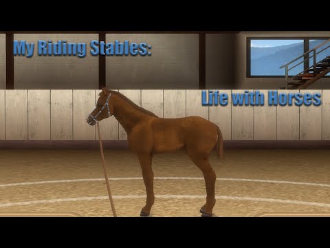 My Riding Stables: Life with Horses. Манеж готов! Тренируем жеребят!