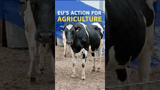 EU support for farmers