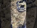 Still spending $80 a week to have someone clean your pool? This robot will completely free your hand
