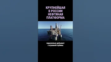 Здесь нет птиц и много нефти #shorts