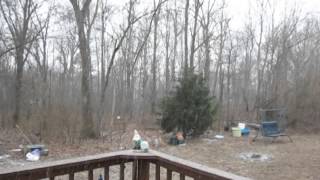 Thundersleet