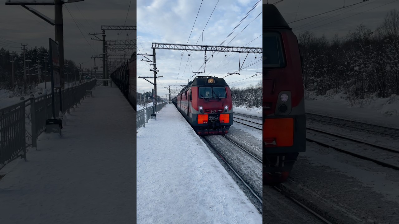 2ЭС4К-142 «Трансойл» по перегону Мга - Сологубовка