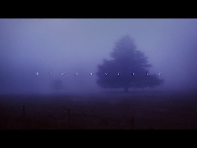 .diedlonely, etsu - feverdream