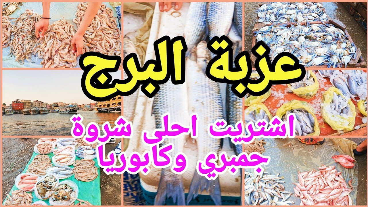 جولة في عزبة البرج براس البر واسعار السمك والجمبري والكابوريا صدمه بجد 😱 والكابوريا جننتني 😂