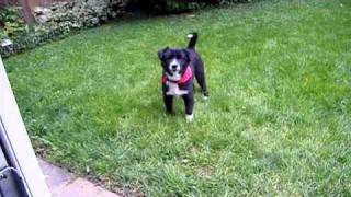 Peter's Happy Time.AVI
