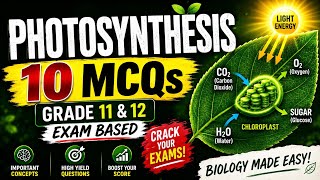Photosynthesis Class 11 Biology MCQ Quiz | 10 Important Questions| | NEET Biology Quiz 2026|