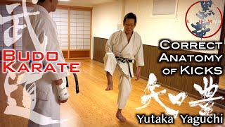 Master Yutaka Yaguchi: Correct Anatomy of Kicks