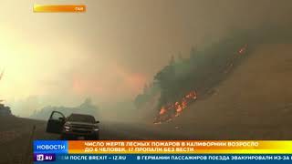 Число жертв лесных пожаров в Калифорнии возросло до 6
