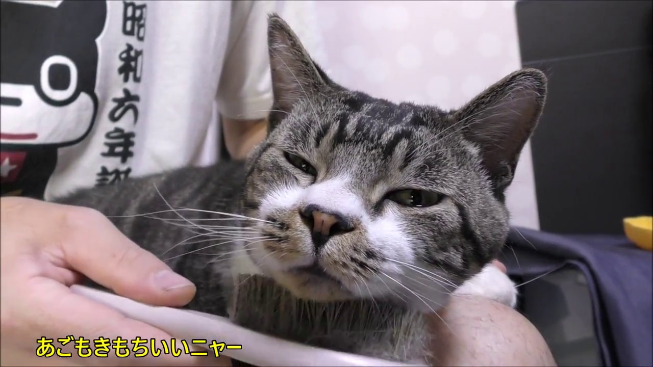 リキちゃん様専用60キロ