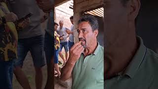 É A Codorna Piriri? Ão