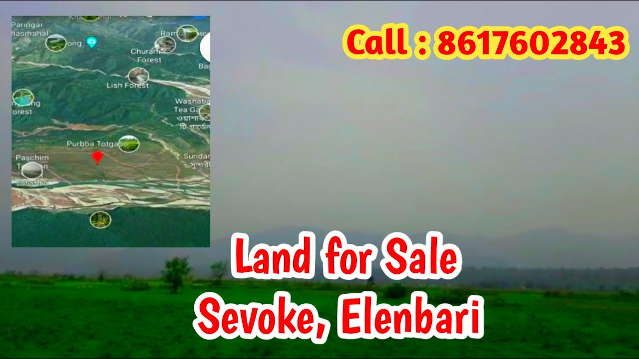 Land for sale in Sevoke, Elenbari। Flat Resort Tea Garden House Land