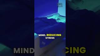 Regain focus and clarity with Zero Body Dry Float therapy at iCRYO Stuart