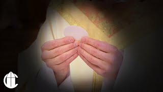 La Santa Misa | Sexto Domingo de Pascua by The CatholicTV Network 754 views 4 days ago 28 minutes