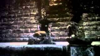 Skyrim-random guy execution