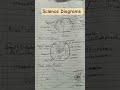 Biology Diagram by a 6th Std ICSE Student | Neat & Easy Science Drawing ✏️🧬 #shorts #ytshorts #reel