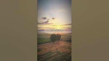 أكتب شيءٍ تؤجر عليه…#قران_كريم #قرآن #تلاوات #تلاوة #تلاوات_خاشعة #دعاء #ليلة_القدر