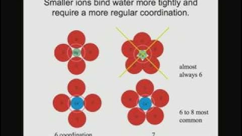 Calcium, Proteins, Energy, and Life with Chikashi Toyoshima