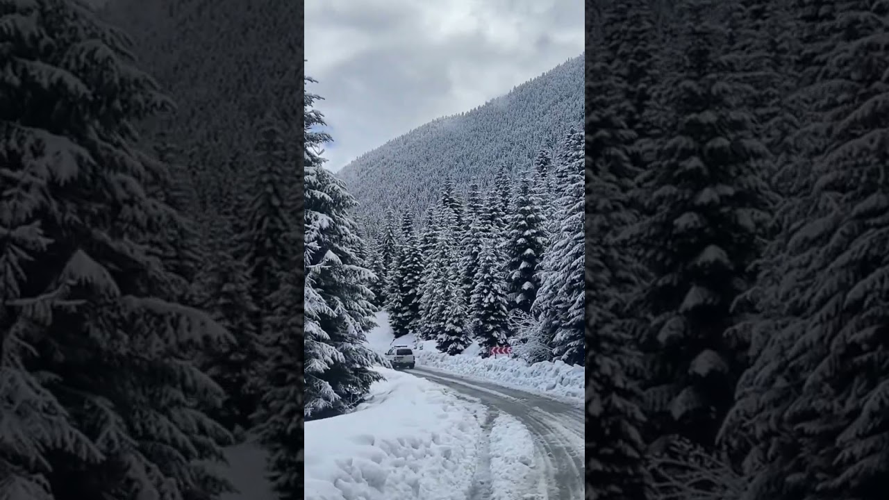 162178cf65ed671539449f62a38758c7