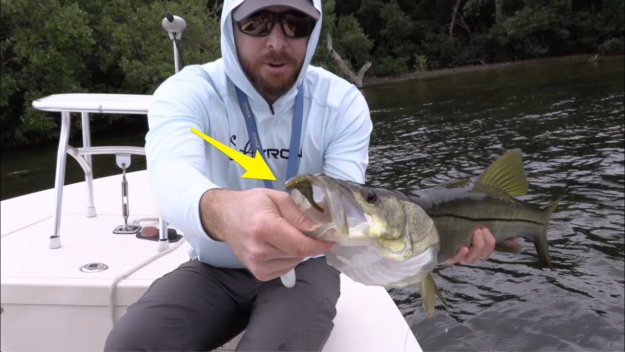 Top Lure For Spooky Snook & Redfish In Skinny Water