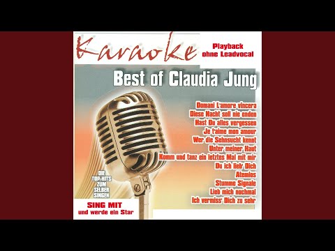 Stumme Signale (InstrumentalVersion)