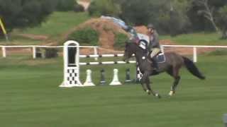 Abine V 8ans sydney/concorde