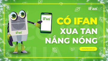 Quạt Hơi Nước Hàng Đầu Việt Nam - IFAN
