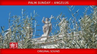 Download Lagu Pope Francis - Celebration of Palm Sunday - Angelus prayer 2019-04-14 MP3