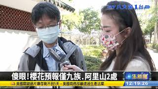 賞櫻地圖 台「櫻花最前線」來了 #八大民生新聞 2022012603