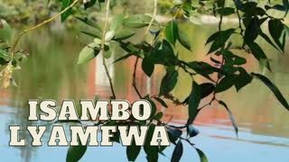 Catholic Hit Songs ~Isambo lyamfwa