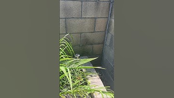 Liminal Spaces you’ve seen before part 3 outdoor edition #nostalgia #liminalspace