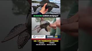 #devilfish #waterlife #seacreatures #monsterfish #dangerousfish #ytshorts #news #viral